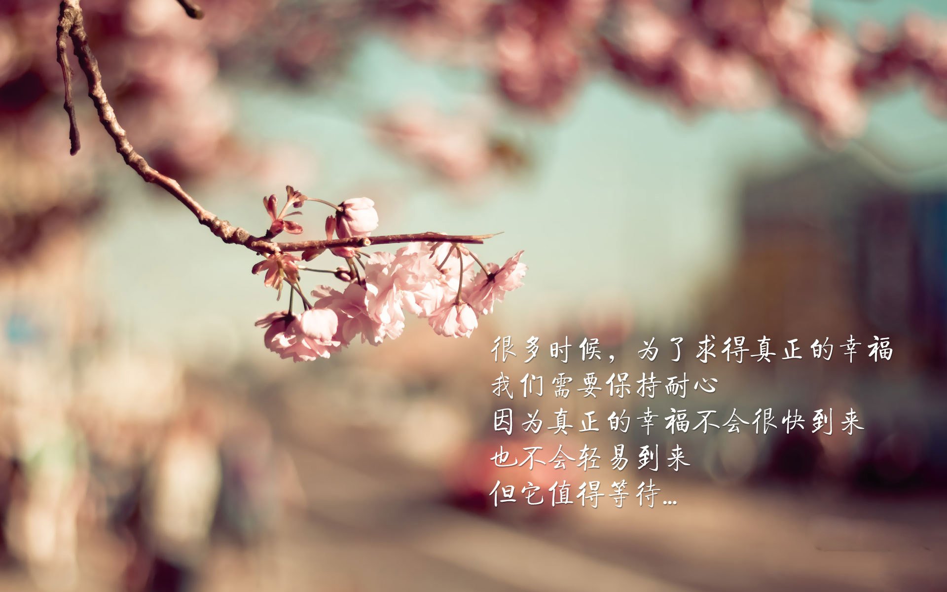 中国足球战术防线压缩数据研究，中国足球队战术