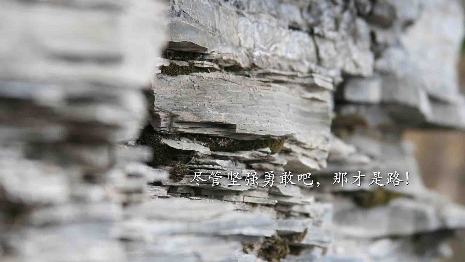 体测标准调整推动体育教育改革，教育部关于体测