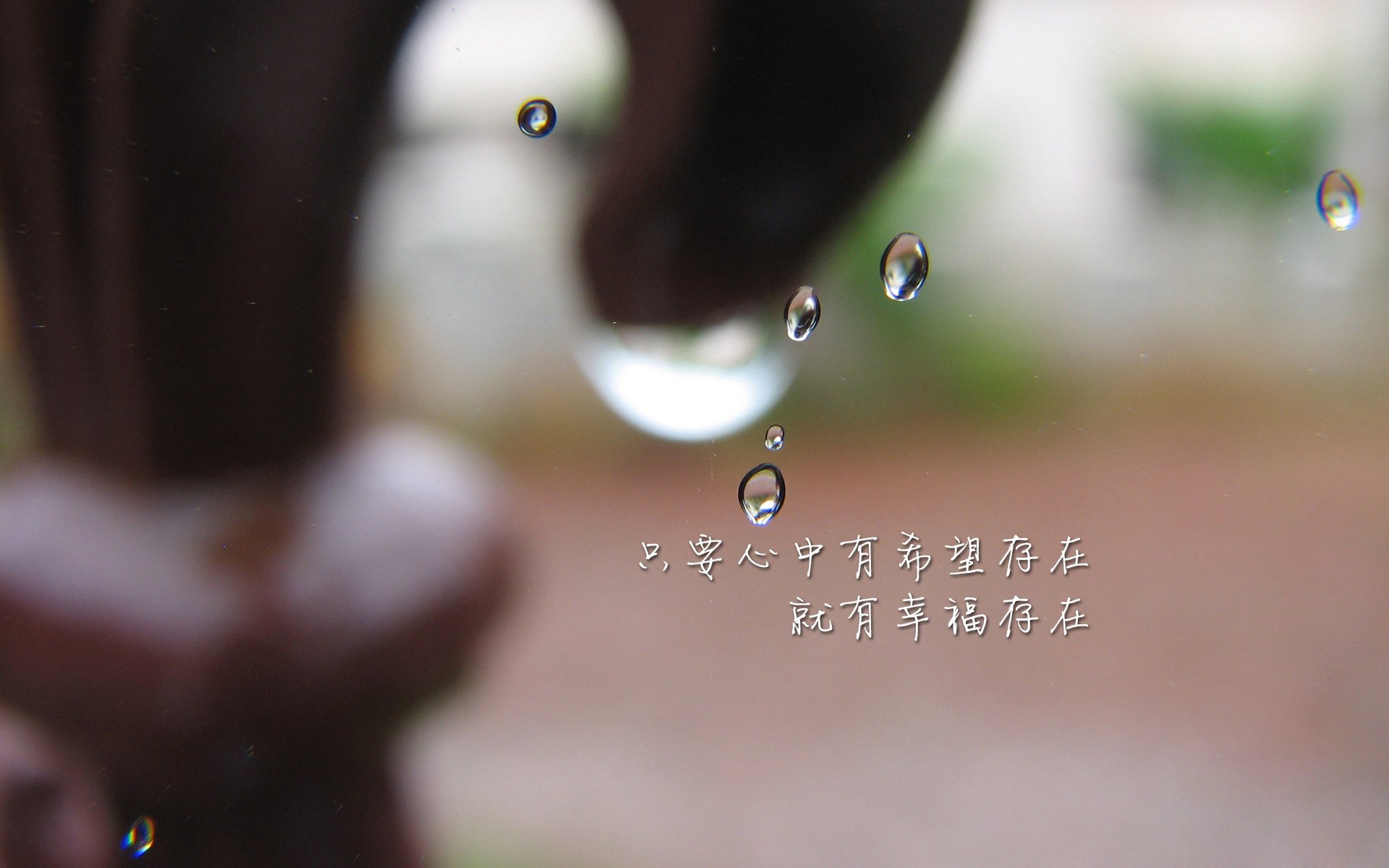 男子接力配合默契惊艳全场，男子接力4×100