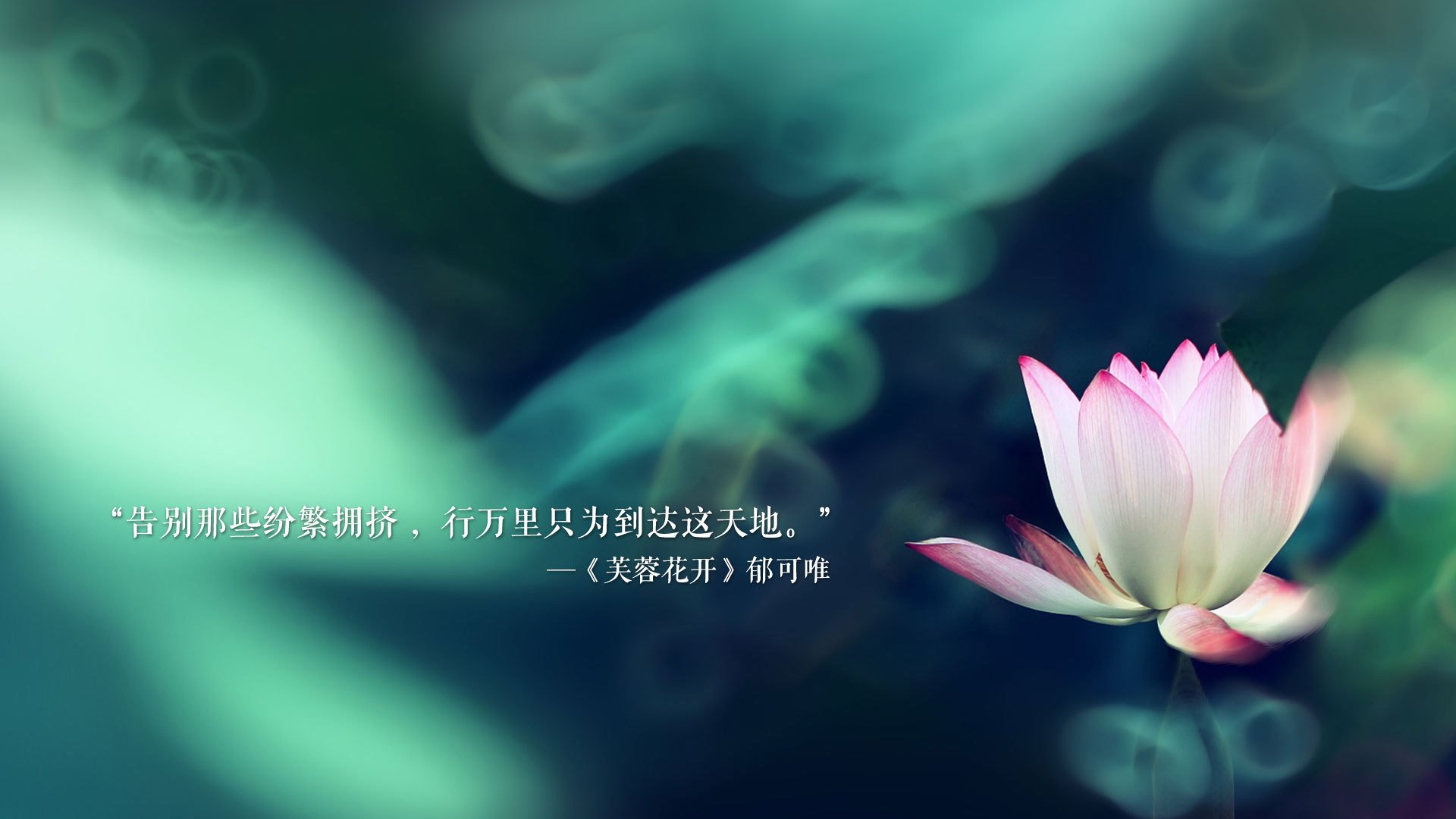 纪念经典车型：永恒的赛车传奇，赛车纪念品