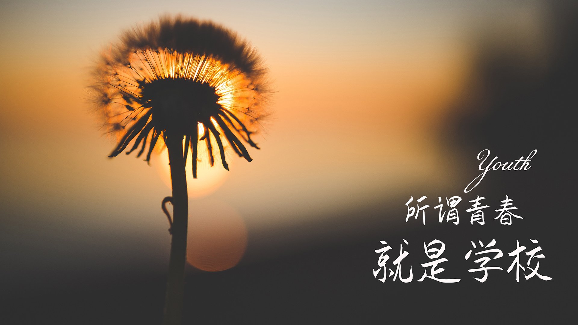 足协杯爆出最大冷门中乙队淘汰中超豪门，中超联赛足协杯