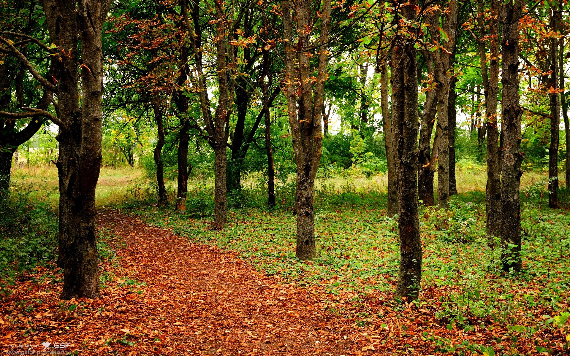 袋鼠队主力球员：詹姆斯·奥康纳 (James O'Connor)，袋鼠联盟