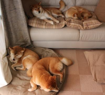 贝尔哈德·福特：以坚固防守为基础，帮助全黑队保持无数零封纪录