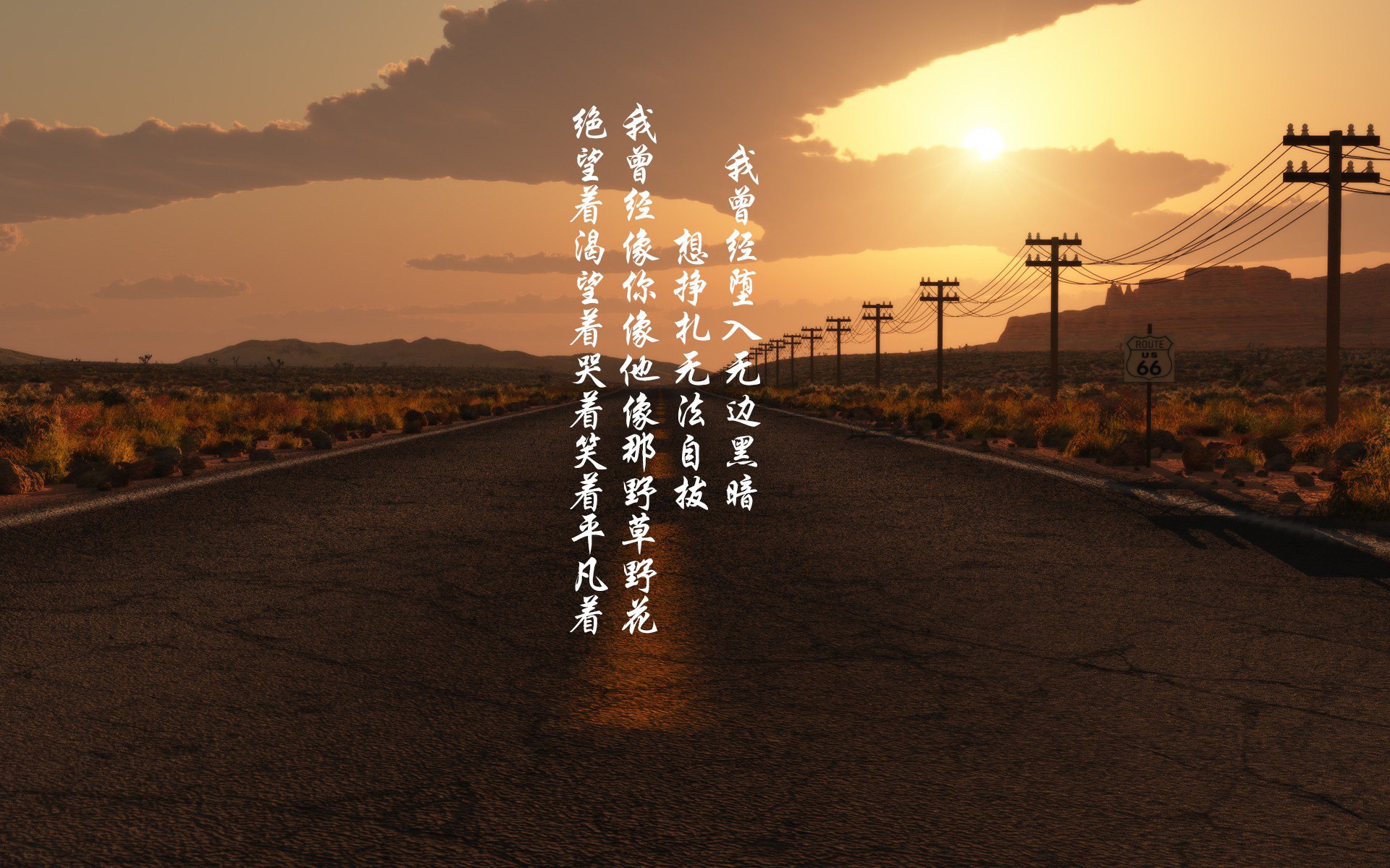 跨国青训合作推动足球科技创新,助力未来职业明星崭露头角,世界最著名的十大足球青训营